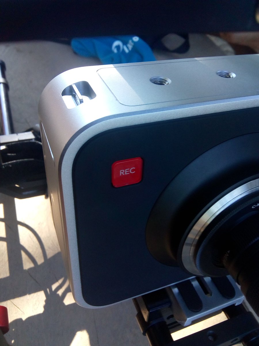 dead_marcelo's tweet image. #Documentary #tocantins #gabiroba