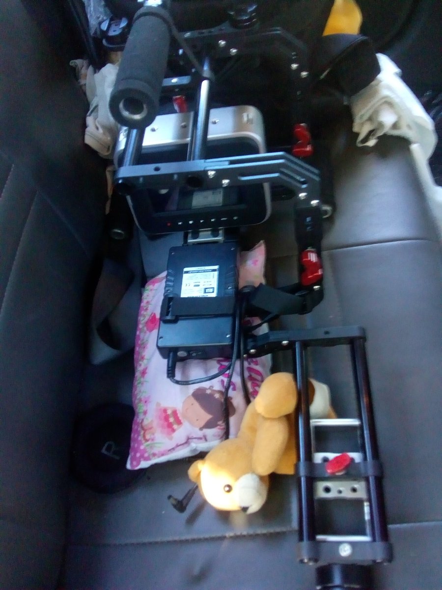 dead_marcelo's tweet image. #Documentary #tocantins #gabiroba