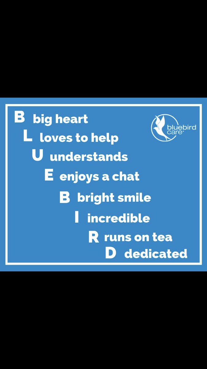 BluebirdcareW's tweet photo. Do you have what it takes to be a 💙 BLUEBIRD 💙 ?

We are looking for passionate and caring individuals to join our care teams across the UK! 

You can see our current vacancies here 👉https://t.co/DVgZtZjZJz https://t.co/h8wC5z7fjs