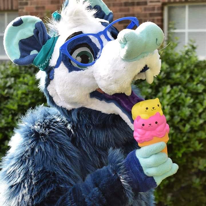 nidopug's tweet photo. My name is Sadie Opossum! I've been making fursuits since 2012. Here are just a few of the characters that I play: Sadie Opossum, Nolan Berner, Naomi Amstaff, and Sea Glass the DAD #fursuits #Fursuiters #fursuiting #fursuitmaker #dutchangeldragon https://t.co/EdEoJ5OVh0