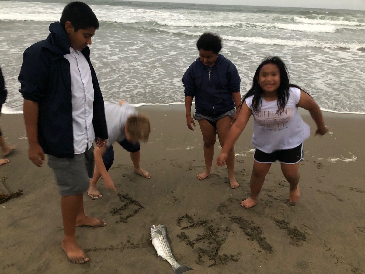 TimGoree's tweet photo. Ocean Beach, SF - Bonfire, S’mores, dead fish, new experiences! #FSUSDSTEM #CompSci @FairfieldSuisun #ColdFeet https://t.co/dMWZ3z5Q0J