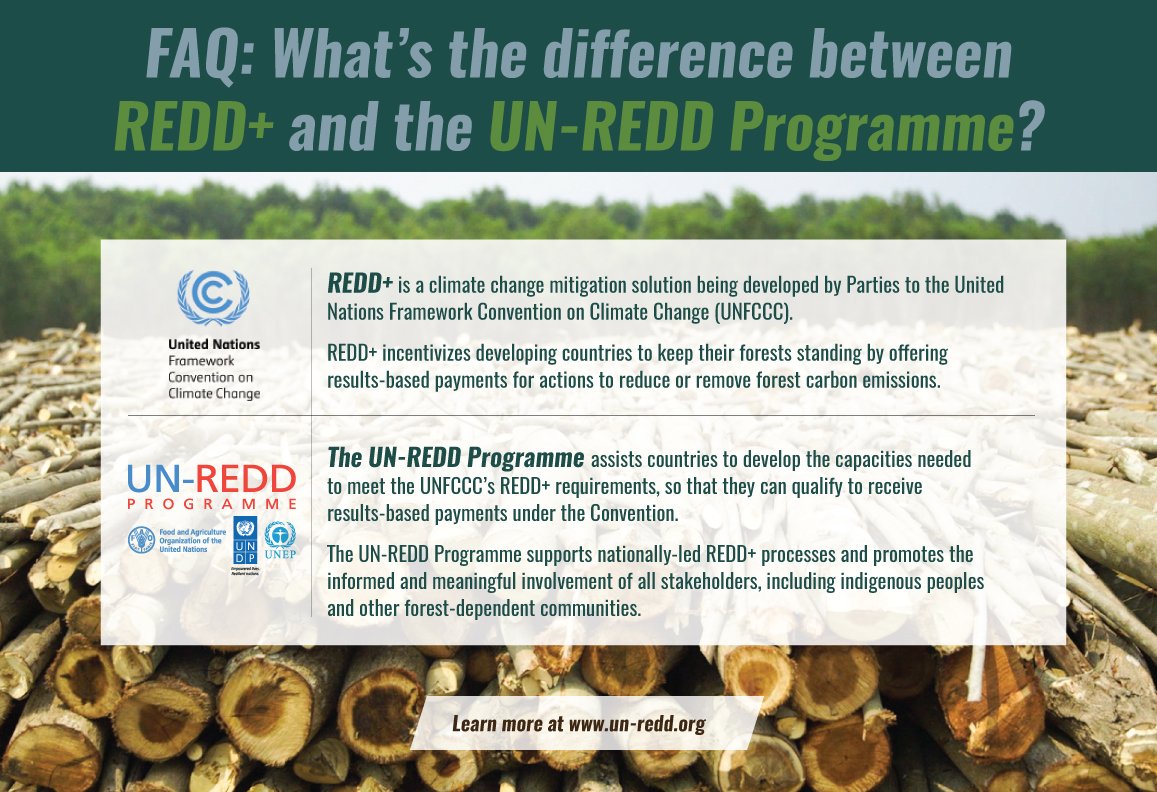 Know the difference between REDD+ &amp; UNREDD? REDD+ is the international framework that offers economic incentives to countries for reducing forest #CarbonEmmissions &amp; <a href="/unredd/">UN-REDD Programme</a> helps countries meet emission reductions standards. unredd.net/about/what-is-…
#BetterWithForests