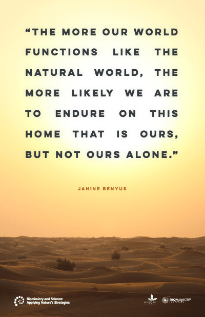 BeYonderLtd's tweet photo. 4 sleeps until the next @SmartSTEMs & we are super excited @BeYonderLtd as the day & beyond is all about #CircularEconomy, let's make #Circularity19 count for the #planet. Every moment counts ... #quadruplebottomline #businessforgood #letsdothis #circularstem #Collabiskey #DYW π https://t.co/J2gGJFboCO