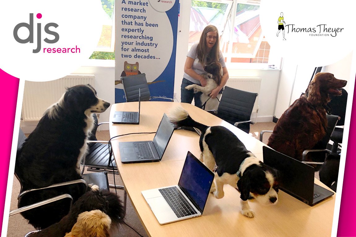 Our current Board is okay and they try their best but our new recruits are a different class. Definitely onwards and upwards for us now!!! #BringYourDogToWorkDay #marketresearch #mrx ⁦<a href="/researchlive/">Research-live.com</a>⁩