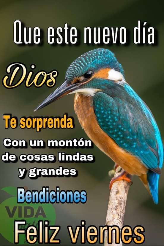 Violeta en Twitter: "Hola buen día lleno de bendiciones amig@s...… "