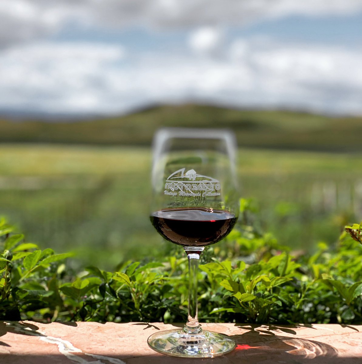 “It’s a smile, it’s a kiss, it’s a sip of wine… it’s summertime!”~Kenny Chesney  Happy summer solstice!  #travel #wine #summer #visittemecula #ifwtwa #hospitality #SoCal #winecountry