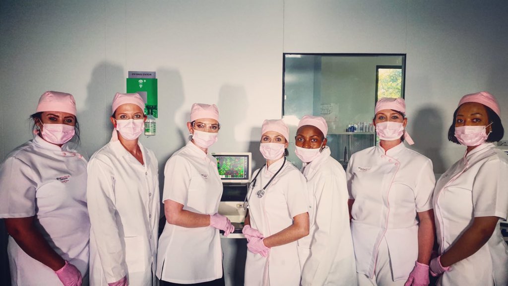 Dr Judey tweet media