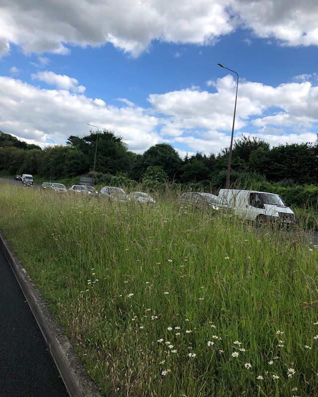 CJSPlants's tweet image. Stuck in a traffic today because of the M20 closure beside this lovely wild central reservation hope it’s intentional and it’s not going to get strummed to death next week. Well done the council responsible #wildflowers#letitgrow# bit.ly/2Rqxkka