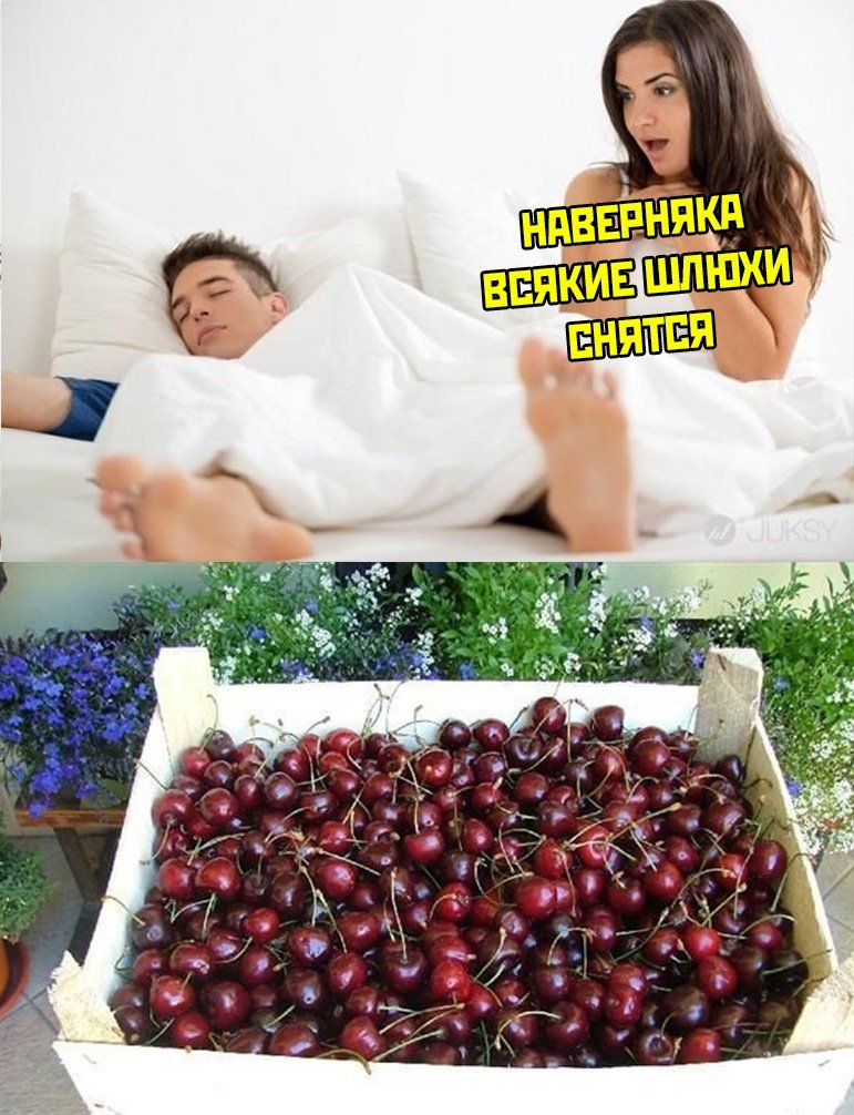 D9m6SQKXoAAYz1L?format=jpg&name=medium