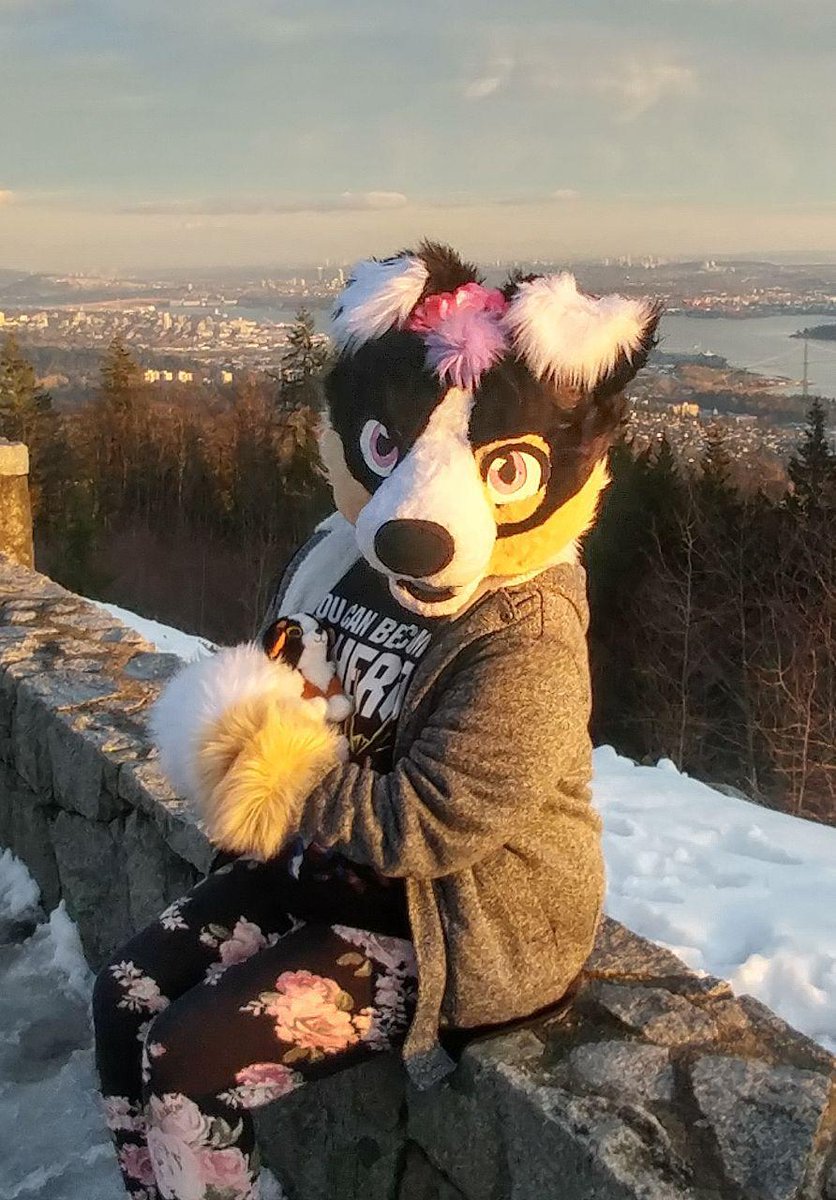 KitsunaWah's tweet photo. Hey! Anyone from @fureh get any pictures of this doggo?
#fureh2019 #fureh https://t.co/sbMc4obJtc