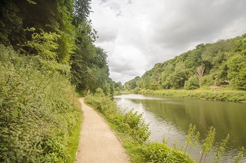 <a href="/CreswellCrags/">Creswell Crags 🦣</a> will be hosting their 'Plants as food and medicine' course on Monday 24 June from 10am-3.30pm. Join Dr Patrick Harding for this fantastic day. ow.ly/wDoH50uJPzw #VisitBolsover #events #nature