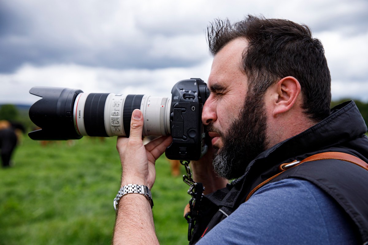 Donal O Leary tweet media