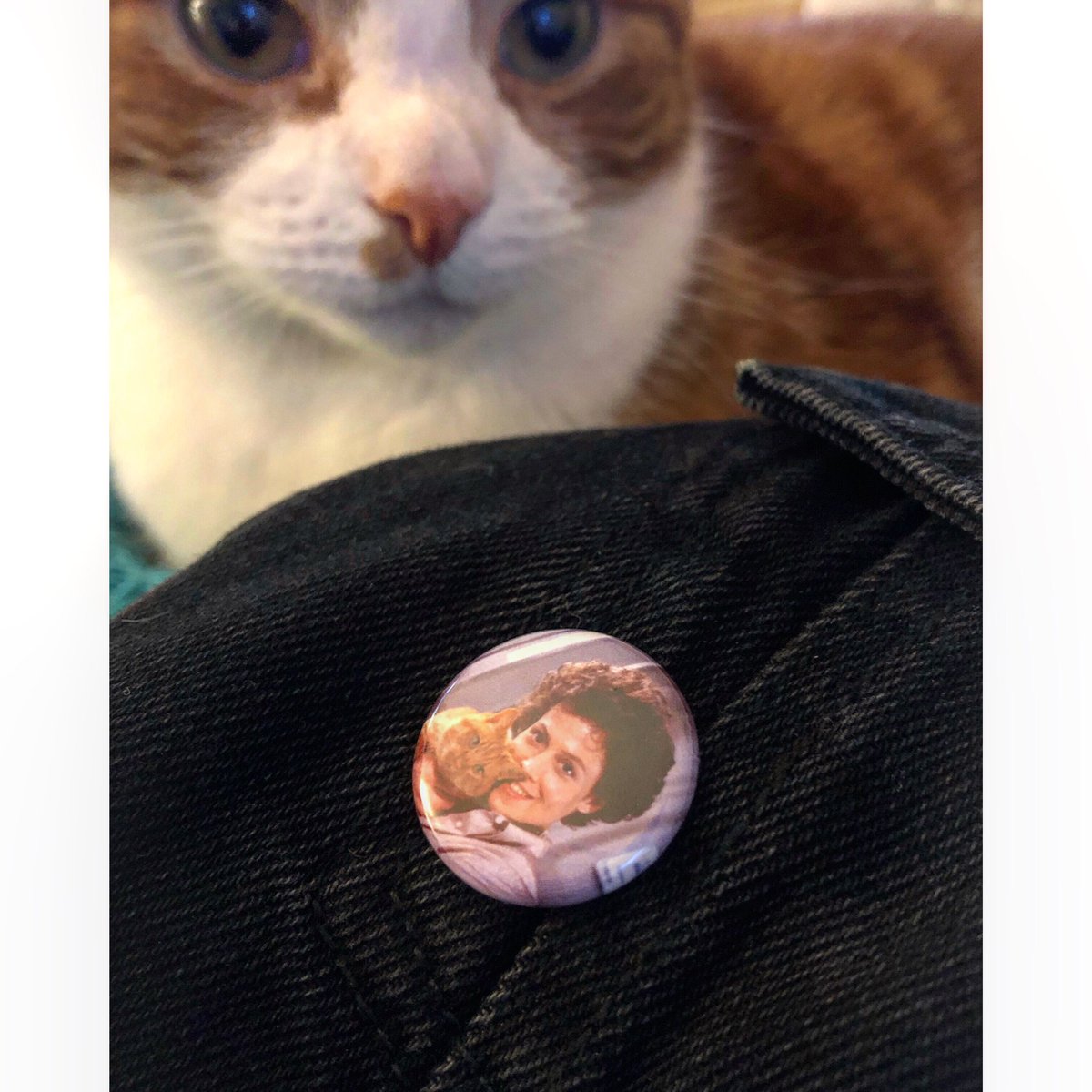 lauriebelshaw's tweet image. Not sure Archie appreciates my new pin #archie #sigourney #jonsey