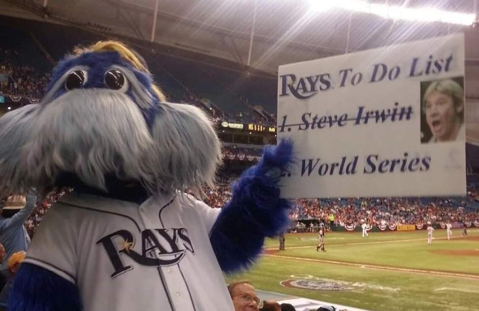 vincentgilroy's tweet image. i'm all about humor but i think  @RaysBaseball should have thought this one out a little more @MLB #SteveIrwin #Badhumor
