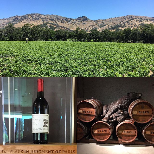 First place in the Judgement of Paris! Not too shabby :) <a href="/stagsleapwine/">stagsleapwine</a>