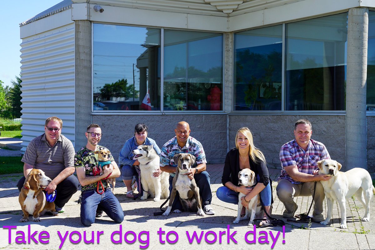 LifeLearnInc's tweet image. While today may be &quot;#TakeYourDogToWorkDay&quot; at LifeLearn, we&apos;re lucky enough to have the option to bring our dogs EVERY day! Here are just some of the doggos at the office today. To learn more about our &quot;barketing&quot; team click here 👉 bit.ly/LLTeams