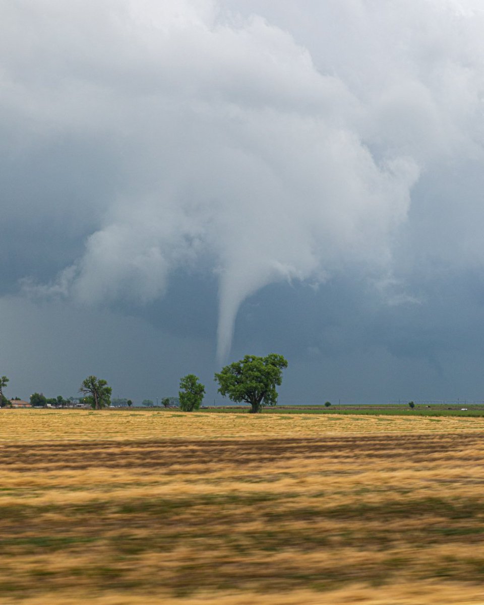 Rich Ellis tweet media