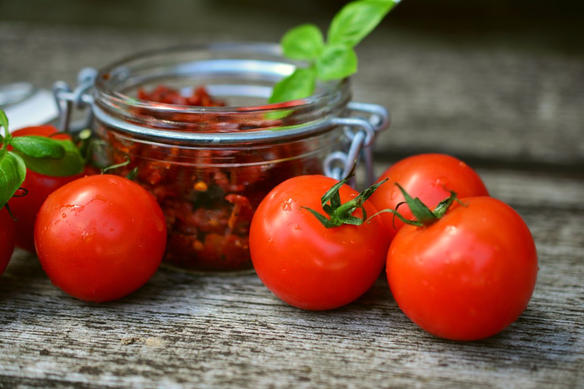 Univ_Toulouse's tweet photo. Ça y est c'est l'été 😎! Et si on se faisait une petite salade de tomates🍅 ? Ingrédient incontournable en période estivale, il est pourtant victime des hautes températures. Heureusement, la tomate du futur s'adapte à la chaleur ! À lire sur #Exploreur 🧭➡️https://t.co/QHVUIBzfP6 https://t.co/IbvdUEP52w