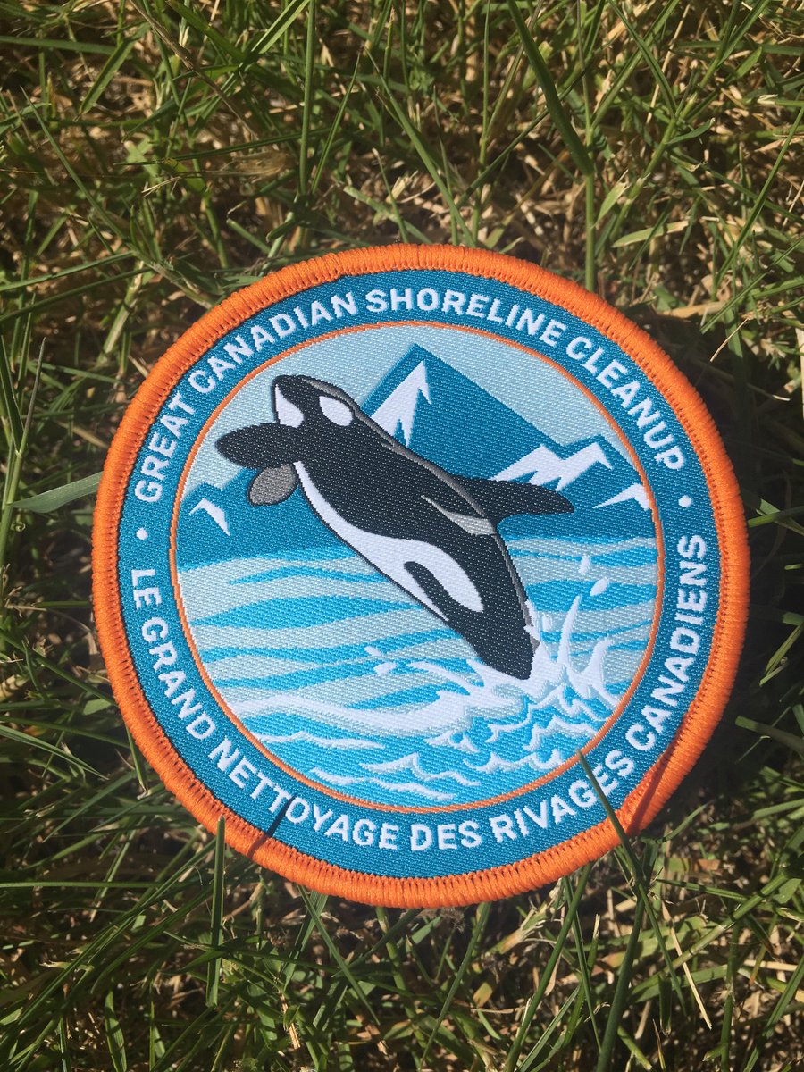 Shoreline Cleanup tweet media