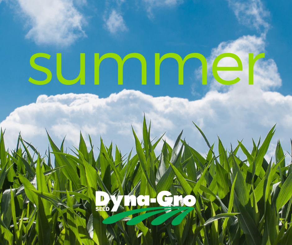 DynaGroSeed's tweet photo. This #plant19 spring hasn't been the most fun.
Time to embrace the summer sun. https://t.co/vcW93t5FzN