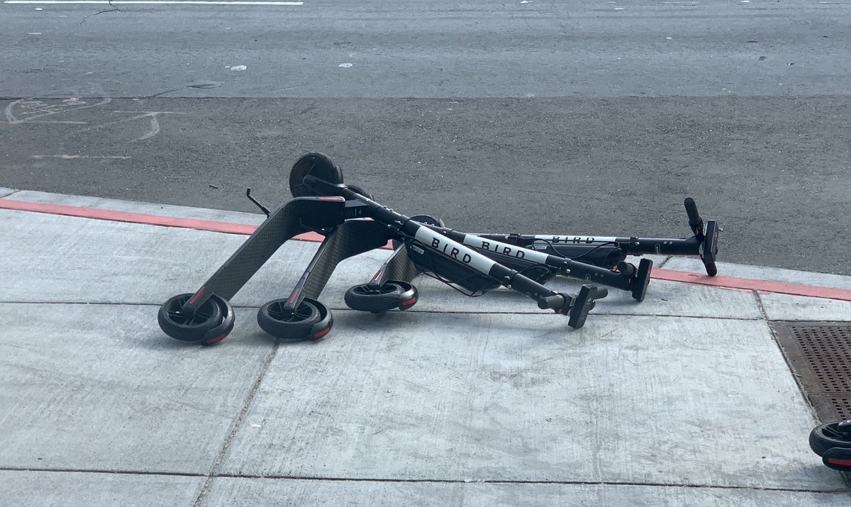 Birds (scooters) fall down.