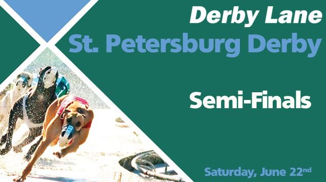greyhoundchan's tweet photo. .@Derby_Lane's St. Petersburg Derby continues with the semi-finals action tomorrow night! Race pages: https://t.co/DtvzEHv8c5 Round 1 Results: https://t.co/di8R3UzBDu This counts toward our #LastHandicapperStanding contest! #LHS2019 #GreyhoundRacing #Stakes https://t.co/XCB2JADiks