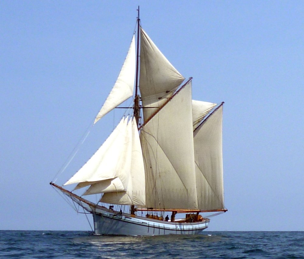 classicsailing's tweet image. Two day sails just added during Swansea air show - come and enjoy the event out on the water, away from the crowds and with the best seats in the house!
classic-sailing.co.uk/lists/irene-da…
#swansea @rafredarrows #airshow