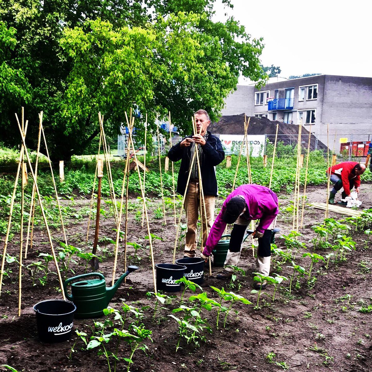 NatuurhusAlmelo's tweet photo. De vrijwilligers in het Doepark zijn dolblij met de gieters en emmers van de @Welkoop in Almelo. Mooie sponsoractie! #dankbaar #welkoop #doepark https://t.co/mYN8BX2kWD