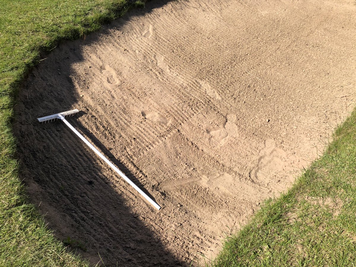 mattjwatkins's tweet photo. If you go in the bunkers can you please rake them after you! 🤬@BlackwoodGolfC https://t.co/7MxiaLmwm7