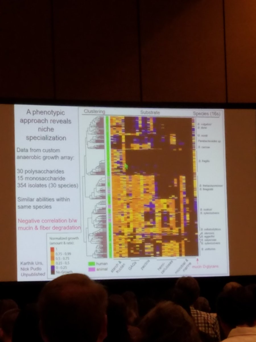 post_croc's tweet photo. This talk at #ASMicrobe brings me back to my PhD with @GrahamPStafford, wish you were here! https://t.co/wzHwGcToTk