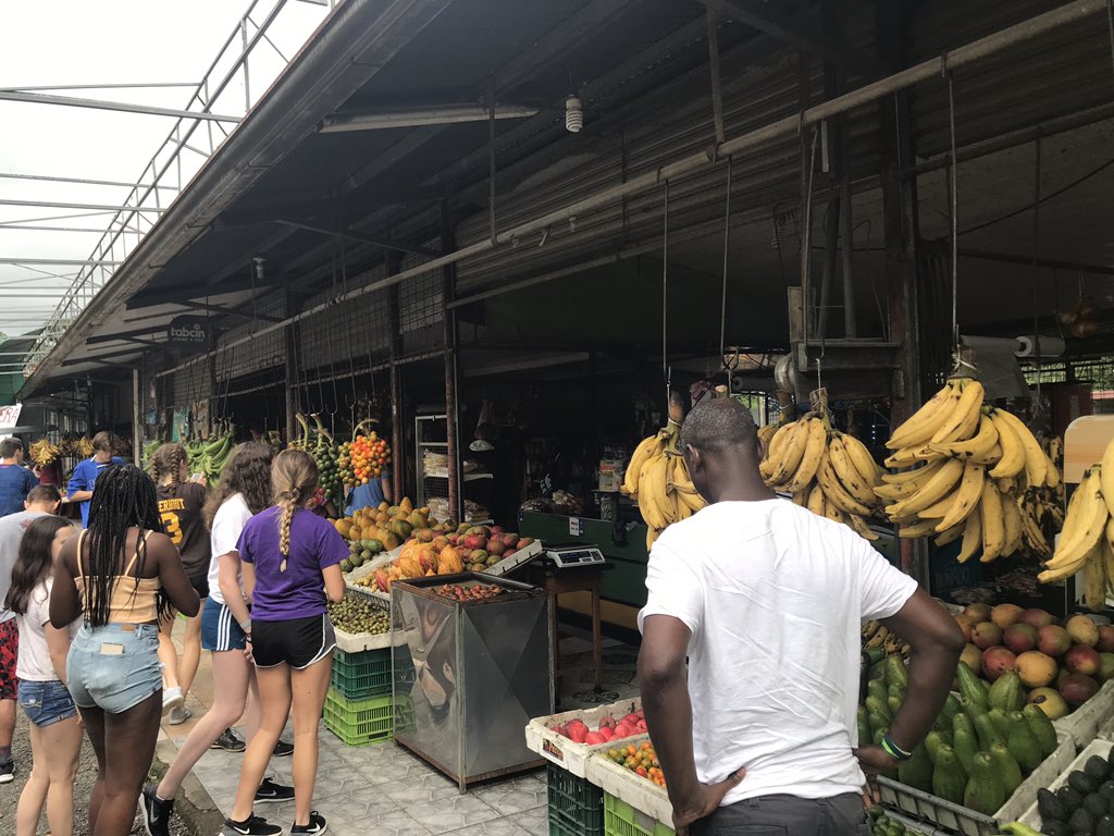 Tropical fruit demonstration and tasting in Costa Rica! Delicioso!!!!#RCSCostaRica2019 <a href="/rochcommschools/">Rochester Community Schools</a> <a href="/AHSHighlanders/">Adams High</a> <a href="/RHSFalcons/">Rochester High School</a> <a href="/WeAreSCHS/">Stoney Creek High School</a> <a href="/ACE_Bulldogs/">ACE High School</a>