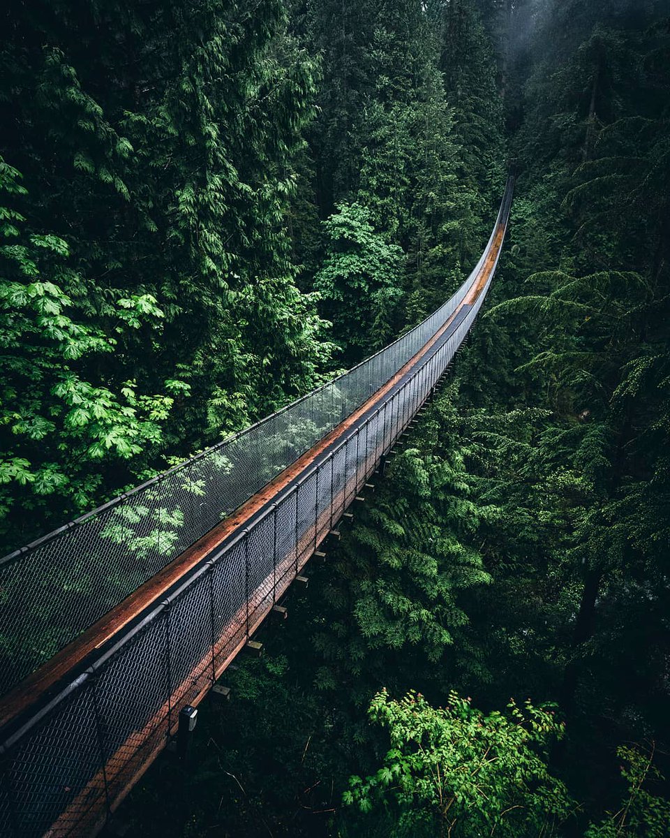 capbridge's tweet photo. It's the loooonnngest day of the year! Happy #SummerSolstice!
#capbridge130 #vancouver #vancity #yvr #northvan #explorebc #explorecanada https://t.co/gqDkUgZuRH