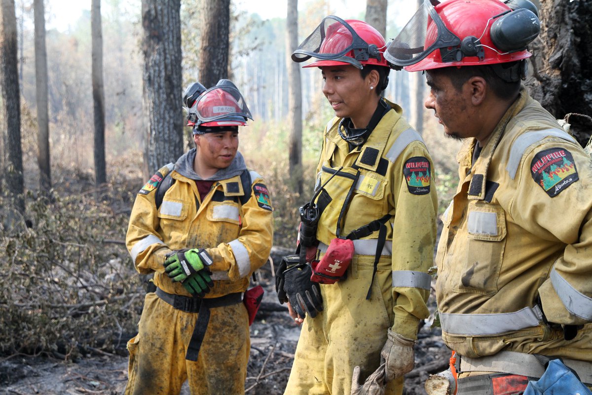 Alberta Wildfire Jobs / Wildfire Crew Member Training North Island