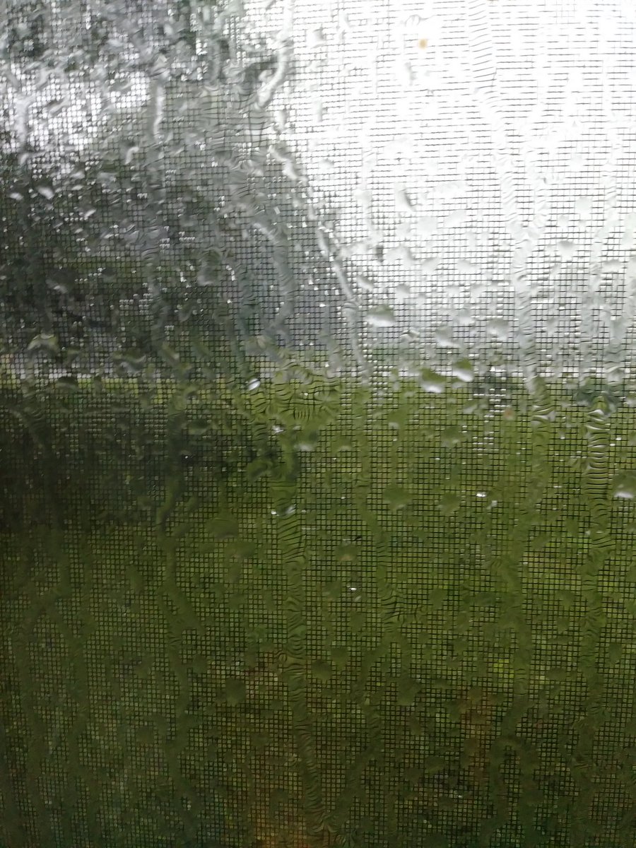 GrumkeFarms's tweet photo. We are getting a little rain. ☔😕 https://t.co/zy9iEUFfvV