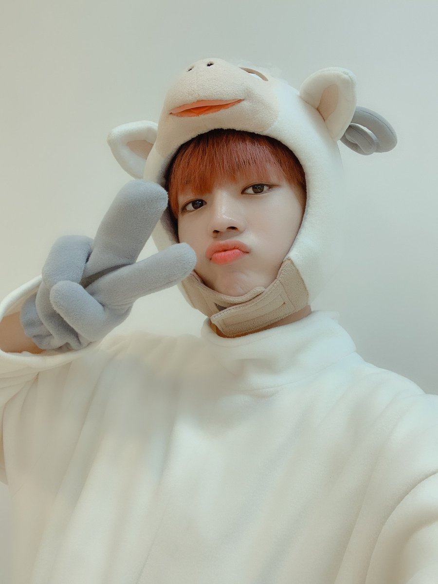 official_ACE7's tweet photo. [#에이스_찬]
한 표, 두 표가 모인다면 그것은 사랑?!❤
#ACE #에이스 #여러분은 #사랑 https://t.co/hOEatDPGJH