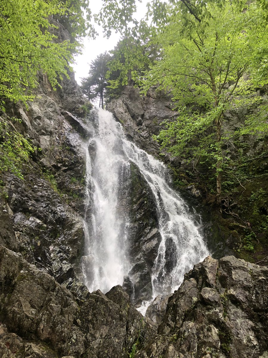 Got the day to myself and so went and found this gem. Soaked from rain but happy. #thirdvaultfalls #fundynationalpark #hike #rain #earnthebeer @FundyNP @ParksCanada