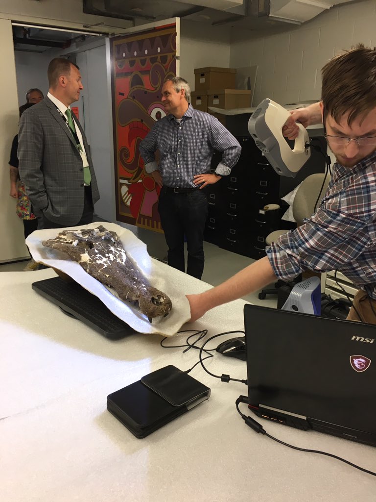 Dr_CrocoGator's tweet photo. It’s a #croctastic #FossilFriday today! Better Building Data is @sciencemuseummn today scanning objects. First up is this beautiful #crocodile skull, Borealosuchus (60 million years old from North Dakota). Can’t wait to see the final 3D file! #ShareYourDiscovery https://t.co/q2R1rT6HnC
