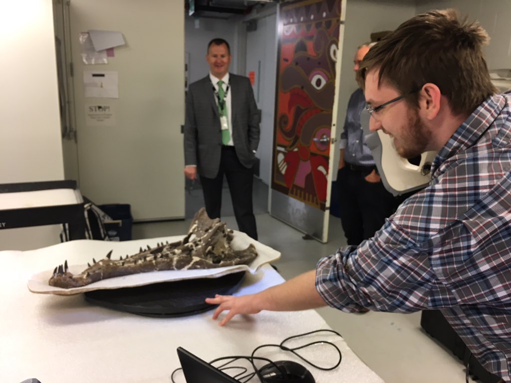Dr_CrocoGator's tweet photo. It’s a #croctastic #FossilFriday today! Better Building Data is @sciencemuseummn today scanning objects. First up is this beautiful #crocodile skull, Borealosuchus (60 million years old from North Dakota). Can’t wait to see the final 3D file! #ShareYourDiscovery https://t.co/q2R1rT6HnC