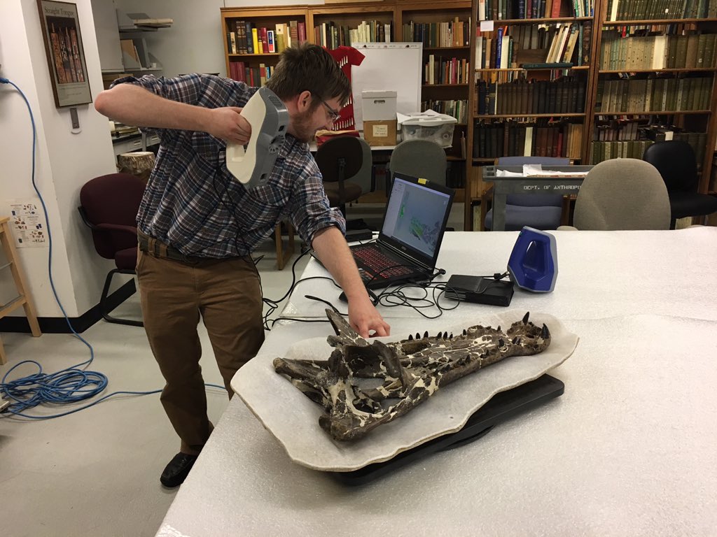 Dr_CrocoGator's tweet photo. It’s a #croctastic #FossilFriday today! Better Building Data is @sciencemuseummn today scanning objects. First up is this beautiful #crocodile skull, Borealosuchus (60 million years old from North Dakota). Can’t wait to see the final 3D file! #ShareYourDiscovery https://t.co/q2R1rT6HnC