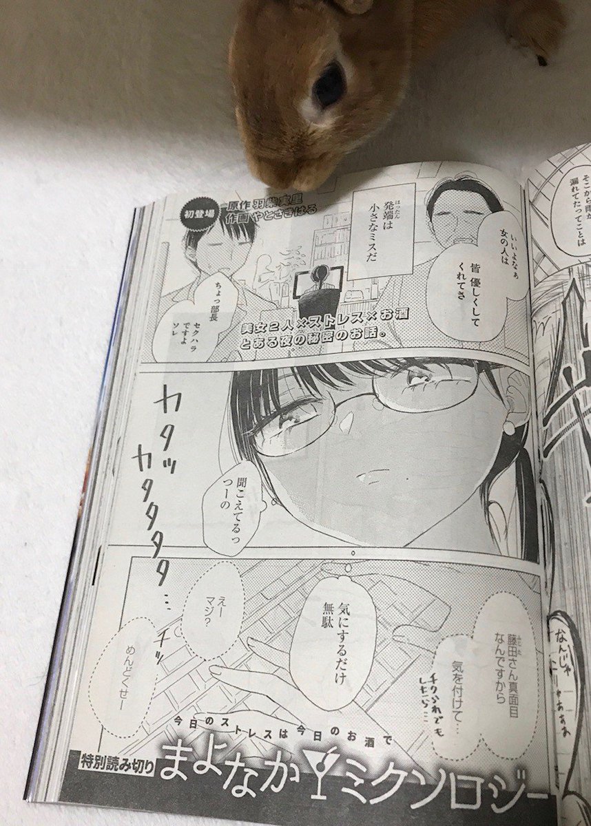 6/21発売のヤングガンガンに載せていただいております!羽柴先生原作漫画の作画を担当しております。女と女が夜な夜なお酒を作る素敵なお話です。よろしくお願いします～～。 