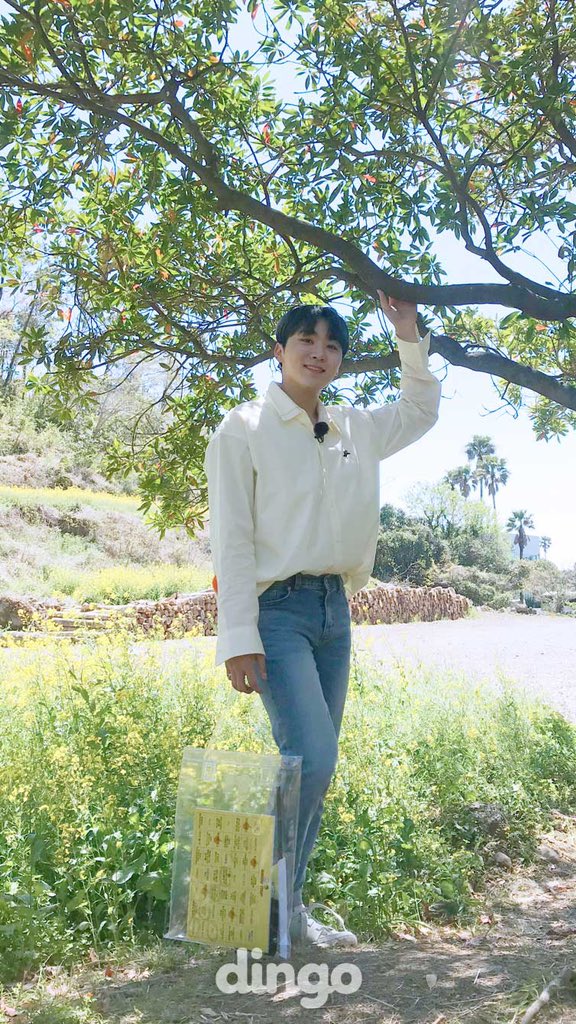 dingo_official's tweet photo. https://t.co/PWoeNZxxQG