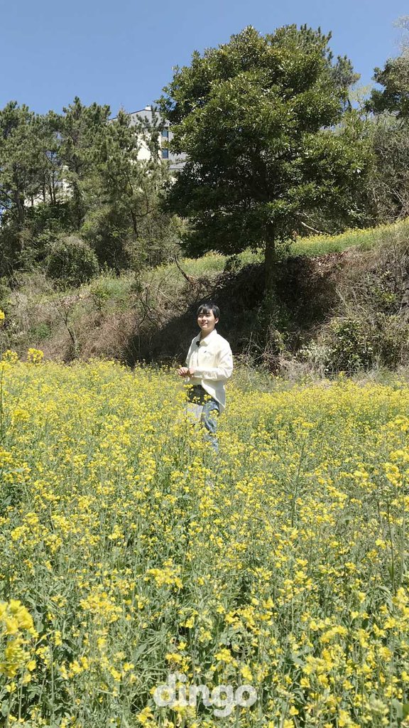 dingo_official's tweet photo. [#딩고뮤직] 오늘도 야심한 밤 승관시에 선물 두고 갑니다 후후후,,,, 승관이 미모에 유채꽃이 전부 고개 숙였대ㅜ 캐럿들 다 설레서 잠 못드는 밤 되었으면 0_<❤️ @pledis_17 

>> 뿌야가 인생샷 건진 빙고트립 바로보기🍊
https://t.co/wrKDmktOuB

#딩고 #dingo #세븐틴 #SEVENTEEN #부승관 https://t.co/jmJTJoF2NT