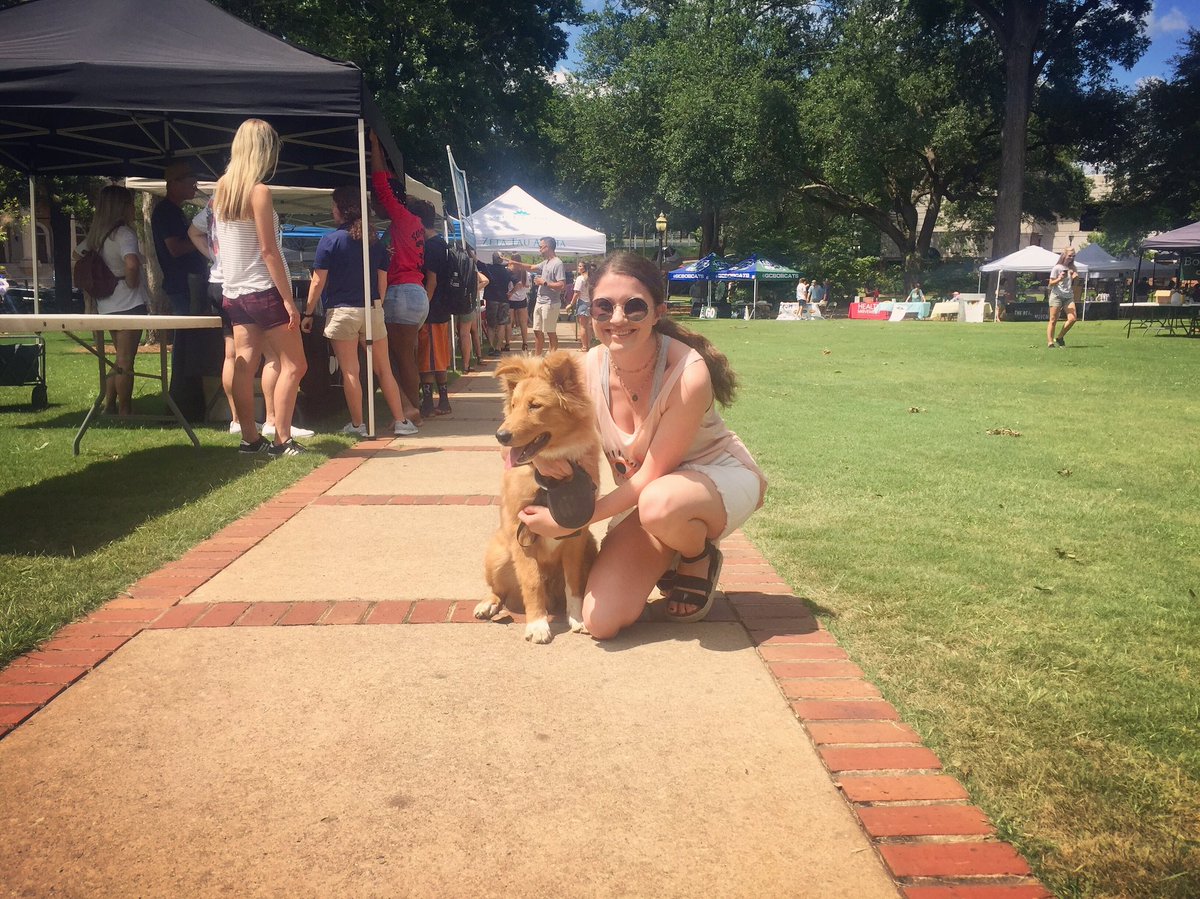 GC Admissions tweet media