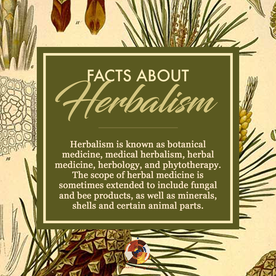 EscondidoAcu's tweet photo. Discover the power of #chineseherbalmedicine to improve your health. https://t.co/dHi5R34wOU https://t.co/5p2bpR35eu