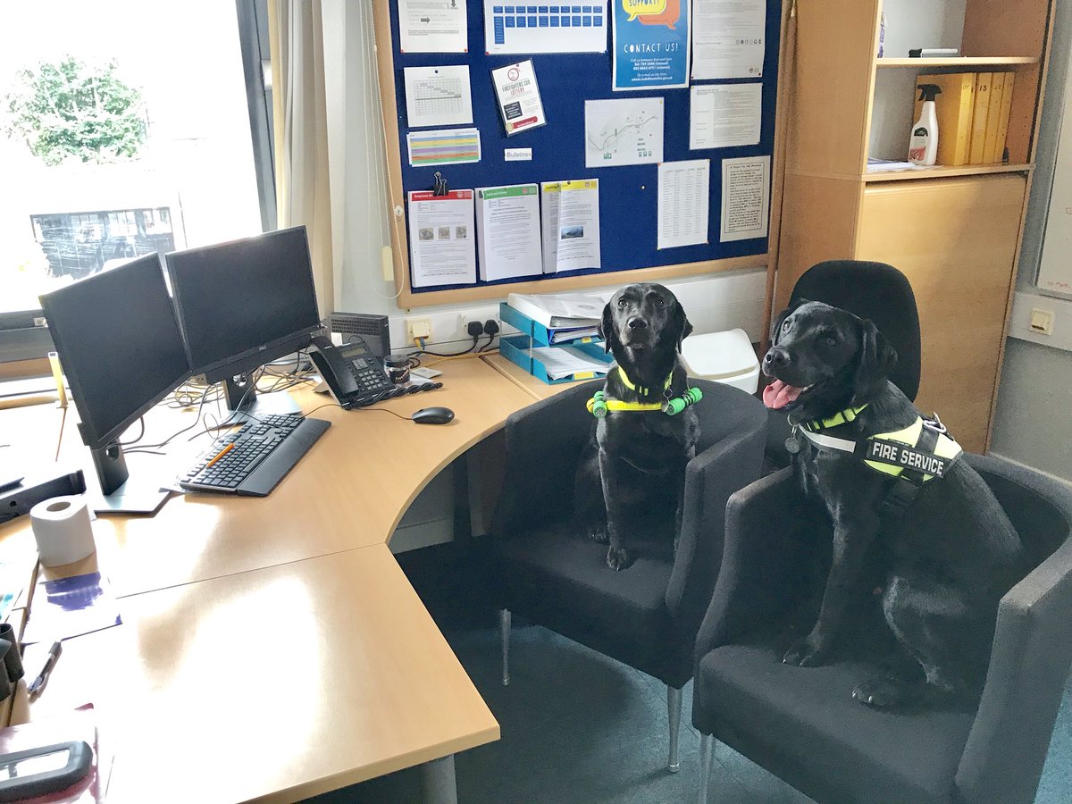 HantsFireDogs's tweet photo. National bring your dog(s) to work day #HoodieandHarley #dutyweekend #sniffingoutthetruth #readytogo 🐾🐾🚒@Hants_fire @hfrs_control @HowlettGraham @HantsUSAR @HantsPolice @HantsTVPolDogs @FireResilience https://t.co/KZtt4S4VM7