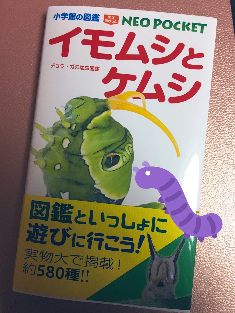 イモムシとケムシ イモムシとケムシ
