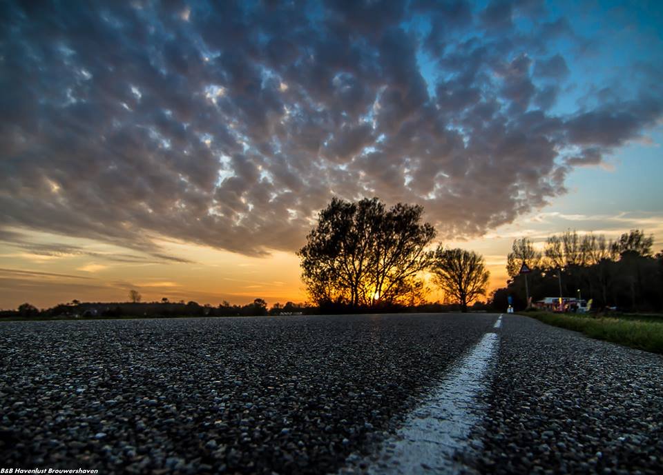 Havenlust's tweet image. I only ask to be free. The butterflies are free? 
#art #travel #poetry #socialmedia 💌