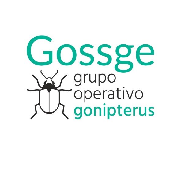 gossgegorgojo's tweet photo. Mañana el Grupo Operativo  #GOSSGE presenta en @Asturforesta su proyecto de lucha contra el Gonipterus del eucalipto https://t.co/t6P8ZunZiq