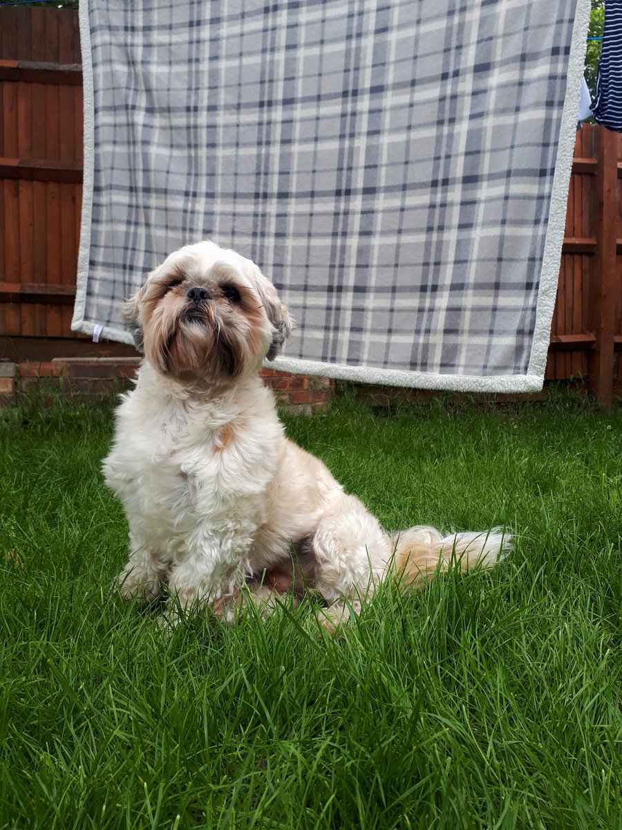 Lord Spencer-Dale stands proud before his house banner.