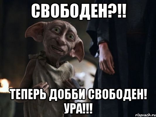 Свободен картинка прикол